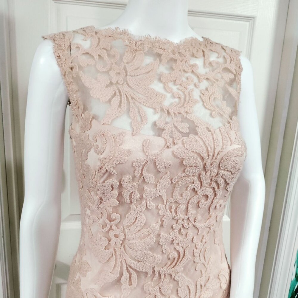 Tadashi Shoji Sheath Dress S Beige Rose Pink Lace Sleeveless - Picture 4 of 10